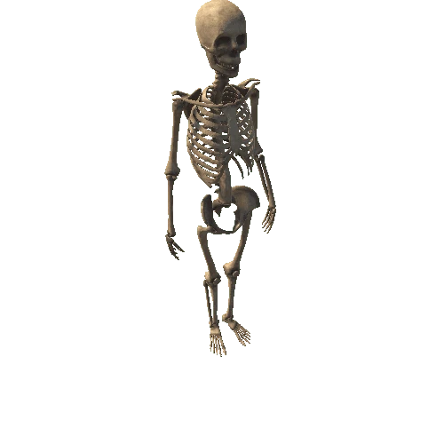 Full Skeleton Gib Version 2